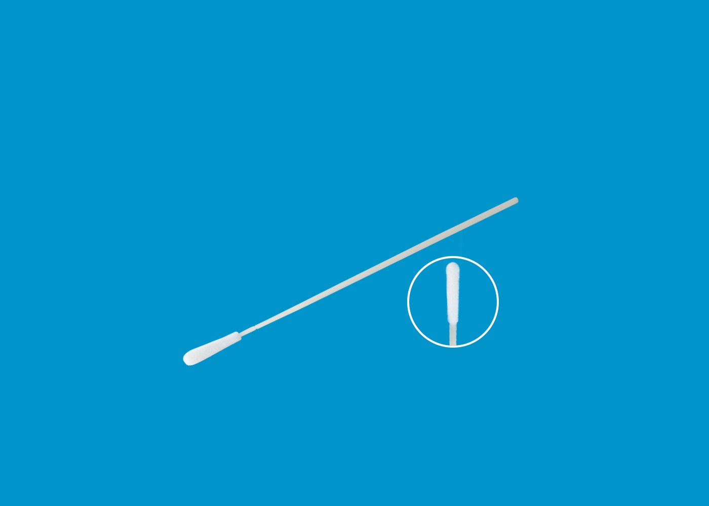 Nylon Flocked Mouth Swab Dna Test / Buccal Swab Collection Kit